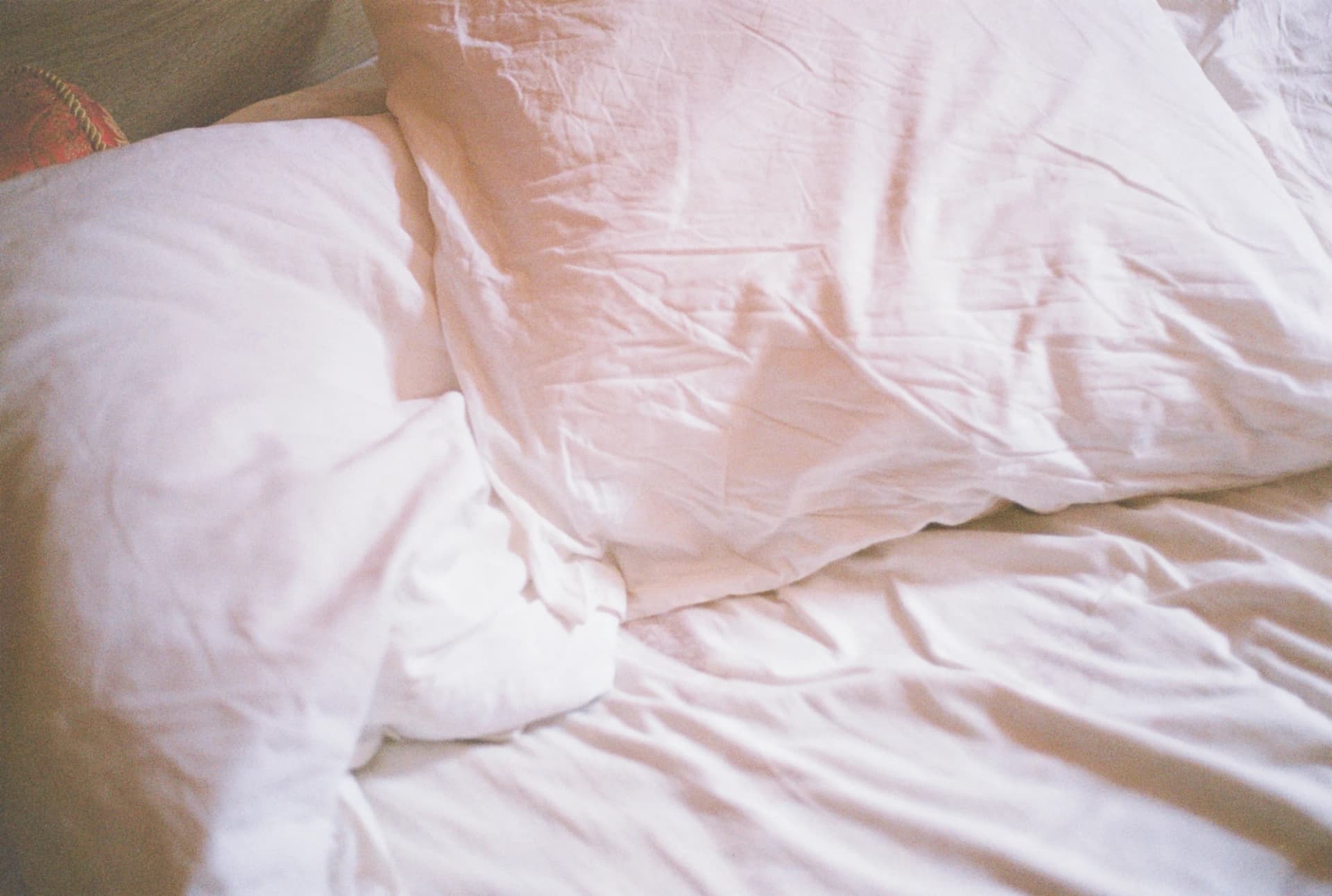 Il fait calme - Xameleon, photographie 1