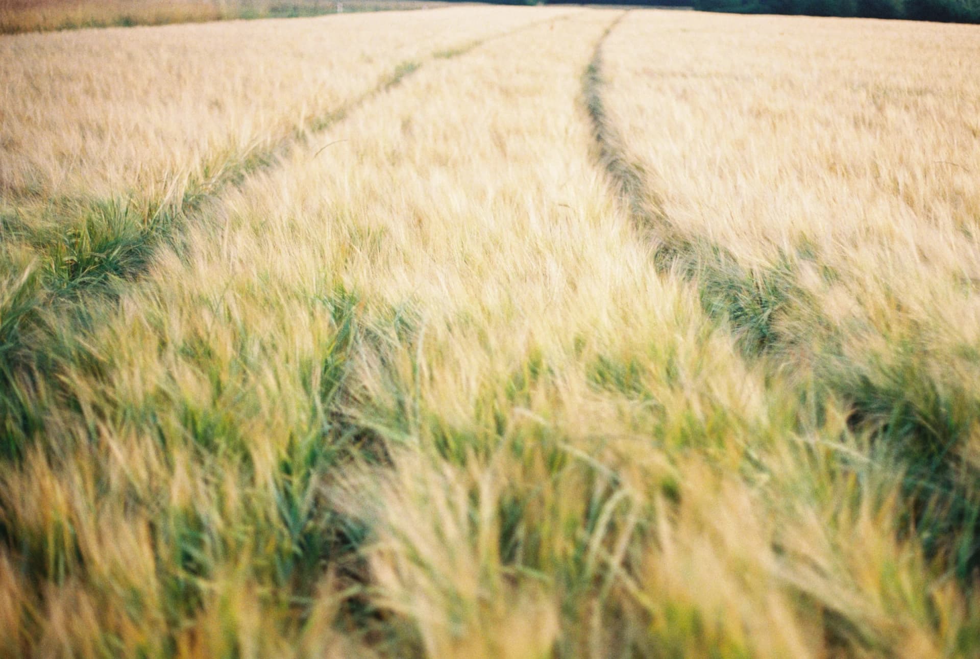 Il fait calme - Xameleon, photographie 6
