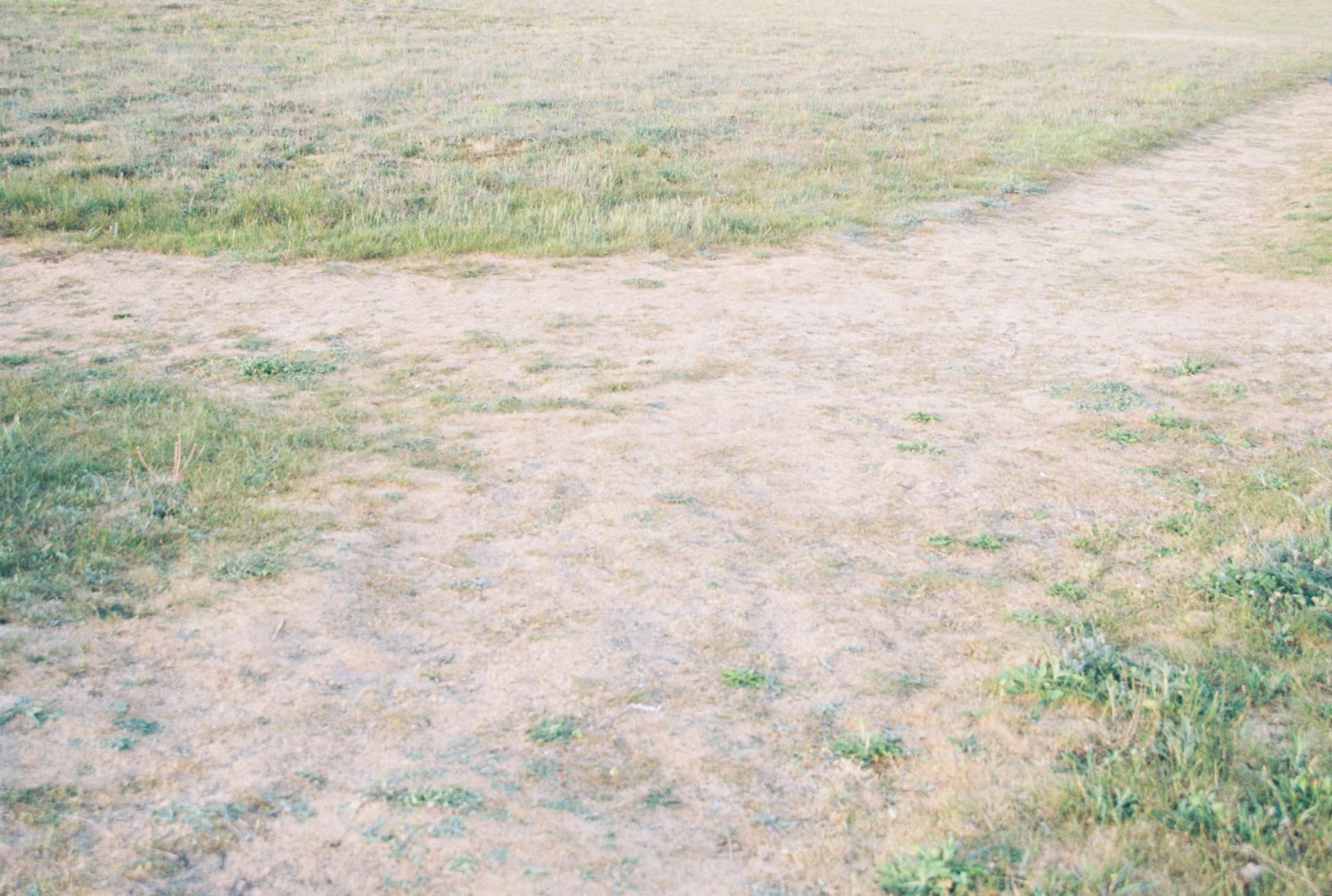 Archive _001, photographie 2 — Flavie Herbreteau