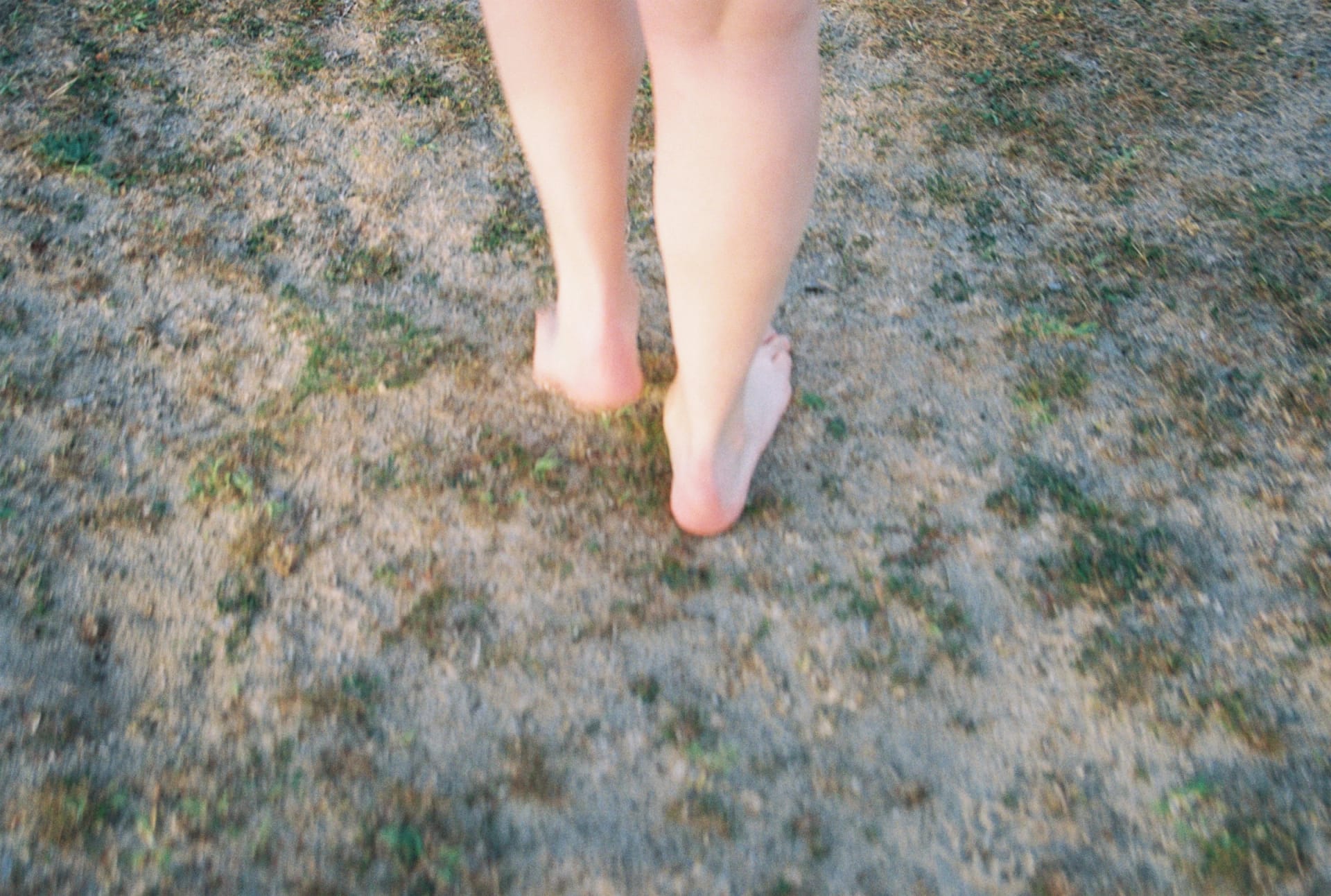 Archive _001, photographie 1 — Flavie Herbreteau
