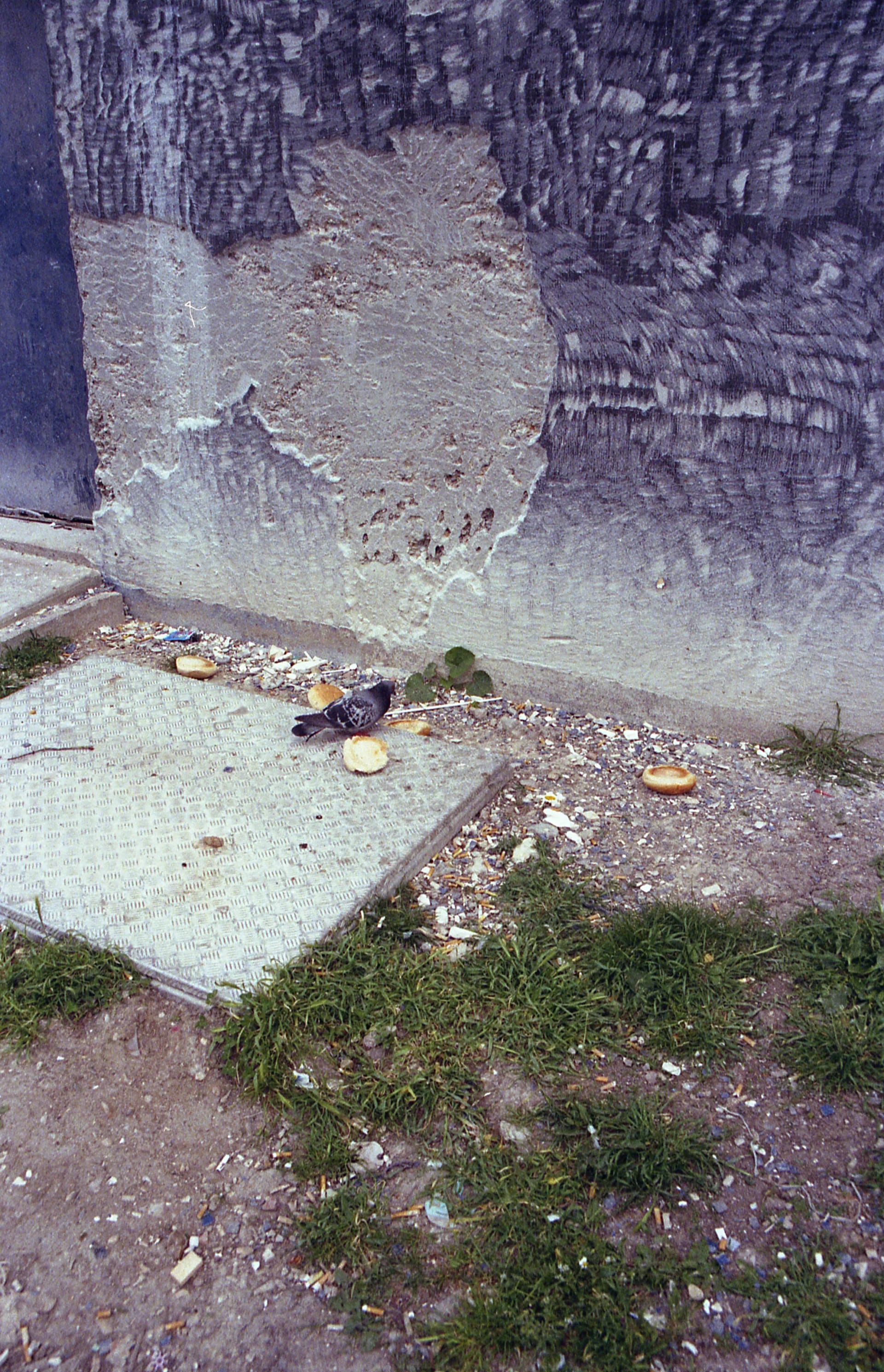 Archive _002, photographie 7 — Flavie Herbreteau