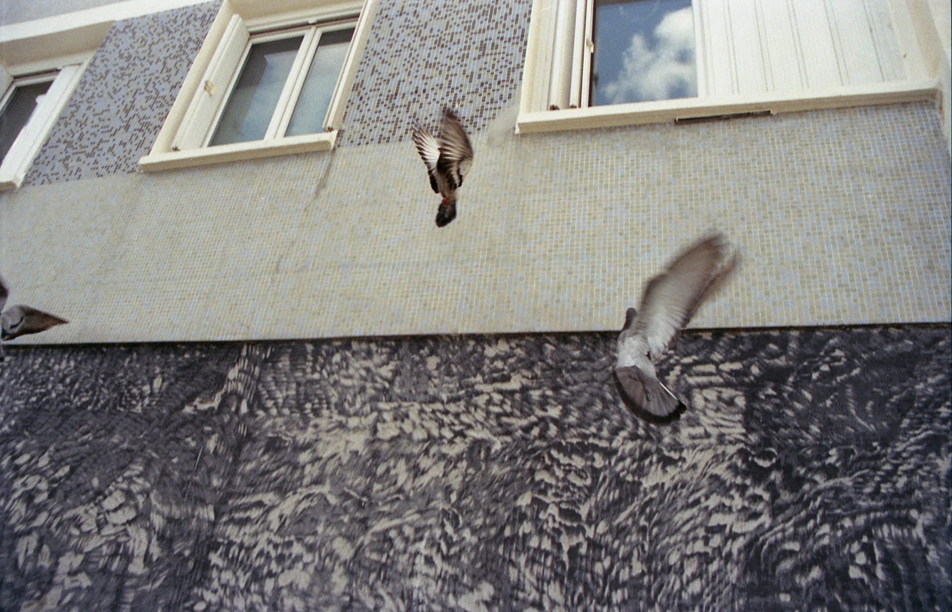 Archive _002, photographie 5 — Flavie Herbreteau