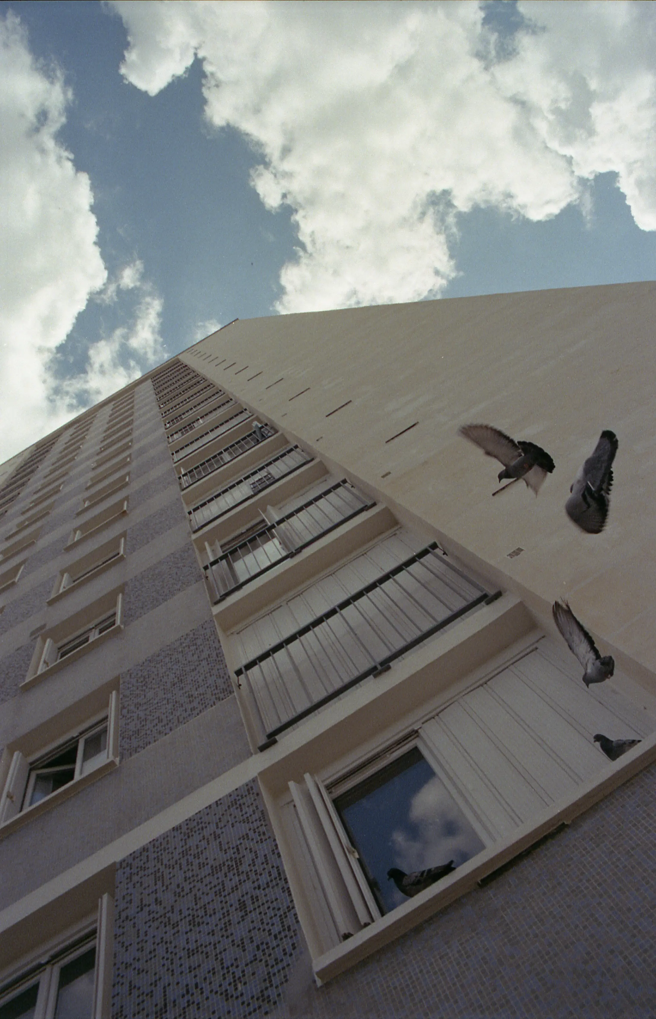 Archive _002, photographie 1 — Flavie Herbreteau