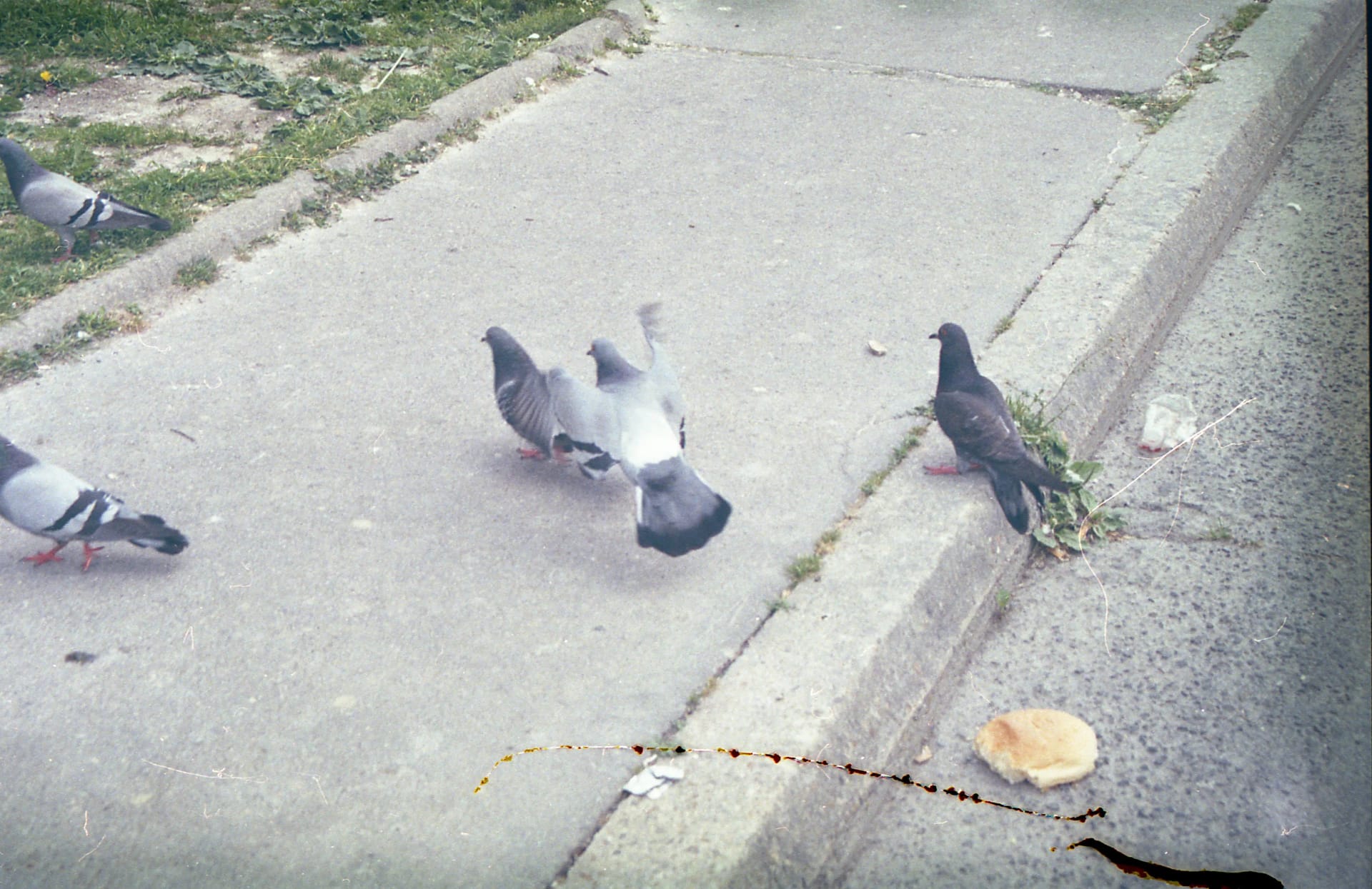 Archive _002, photographie 4 — Flavie Herbreteau