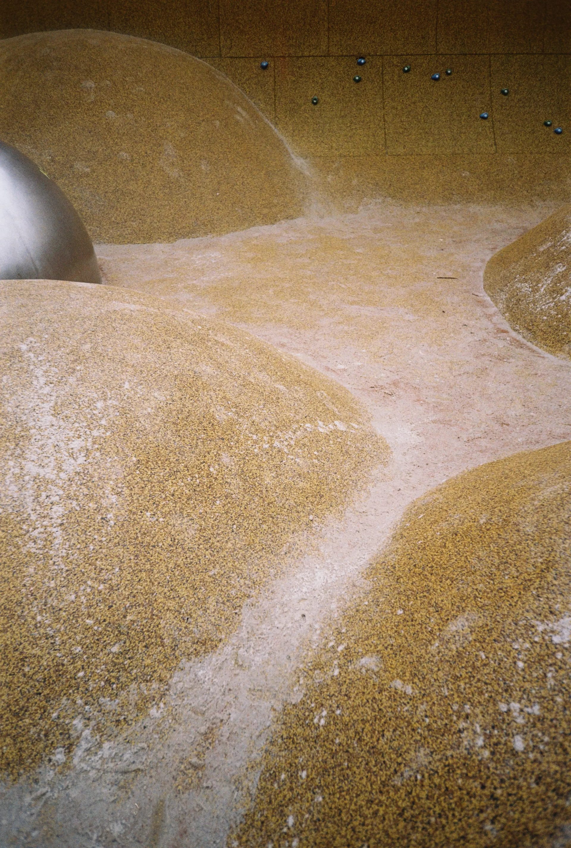 Archive _005, photographie 4 — Flavie Herbreteau
