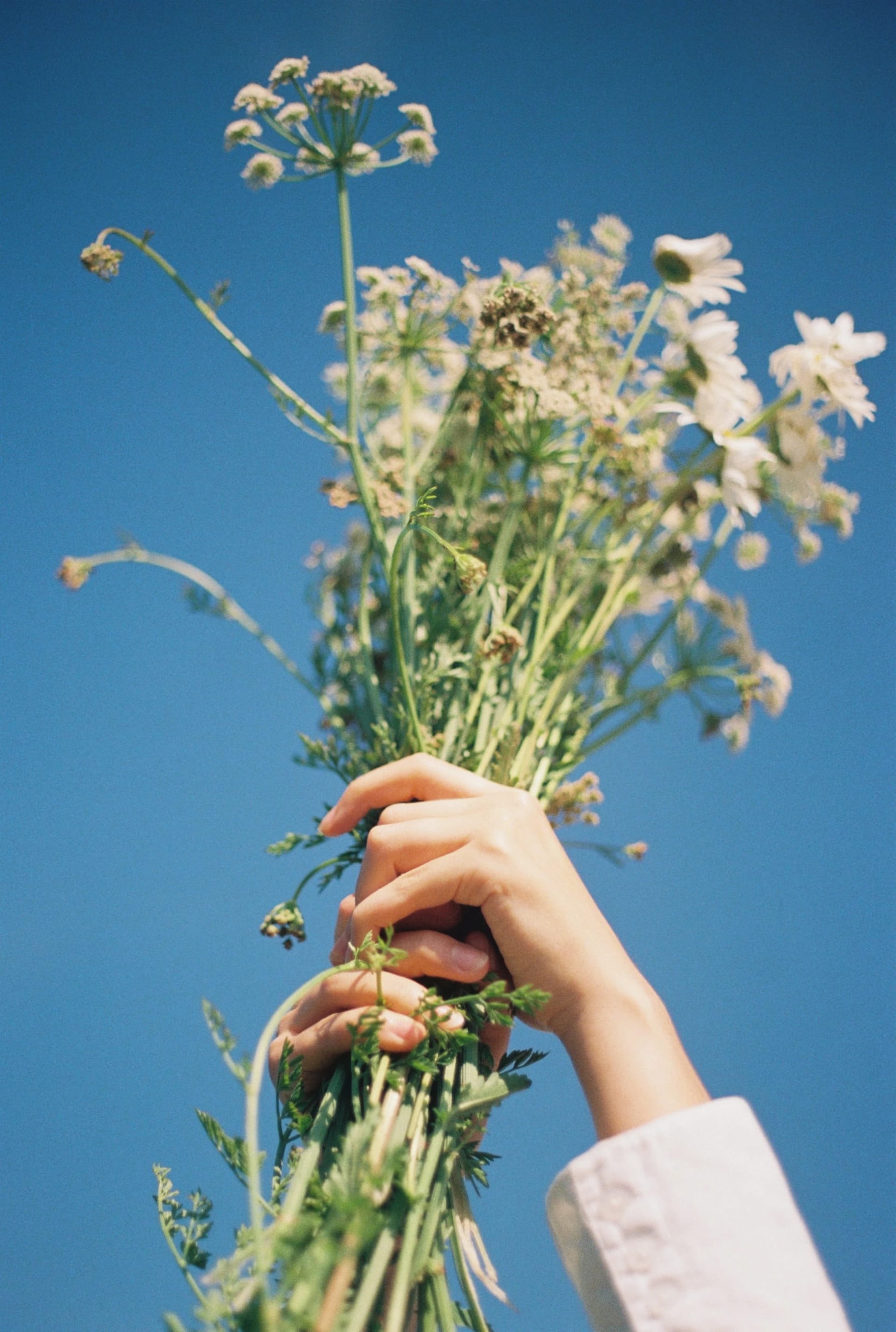 Archive _007, photographie 2 — Flavie Herbreteau
