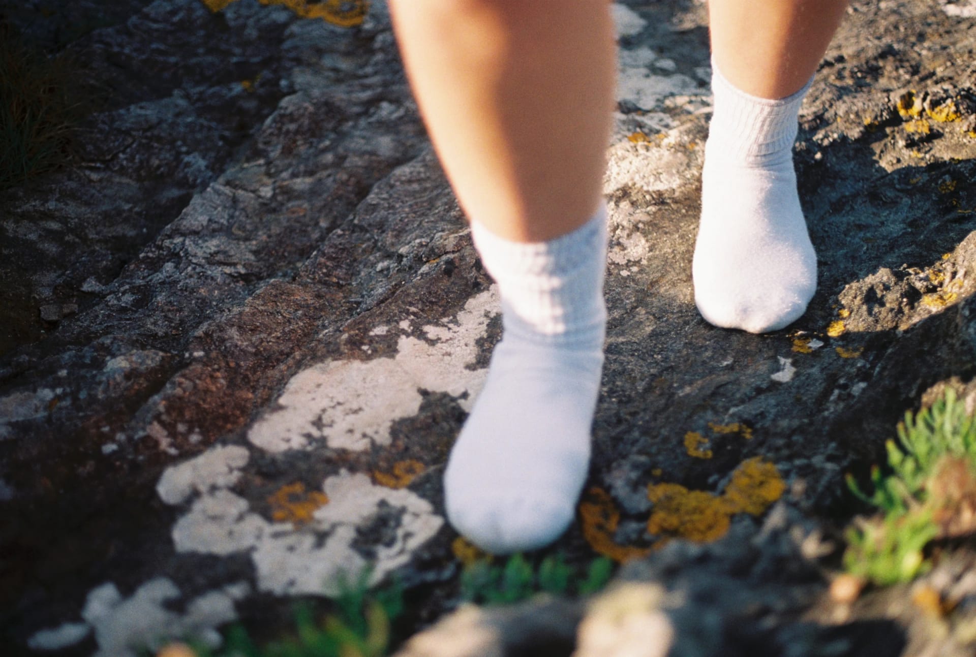 Archive _007, photographie 6 — Flavie Herbreteau