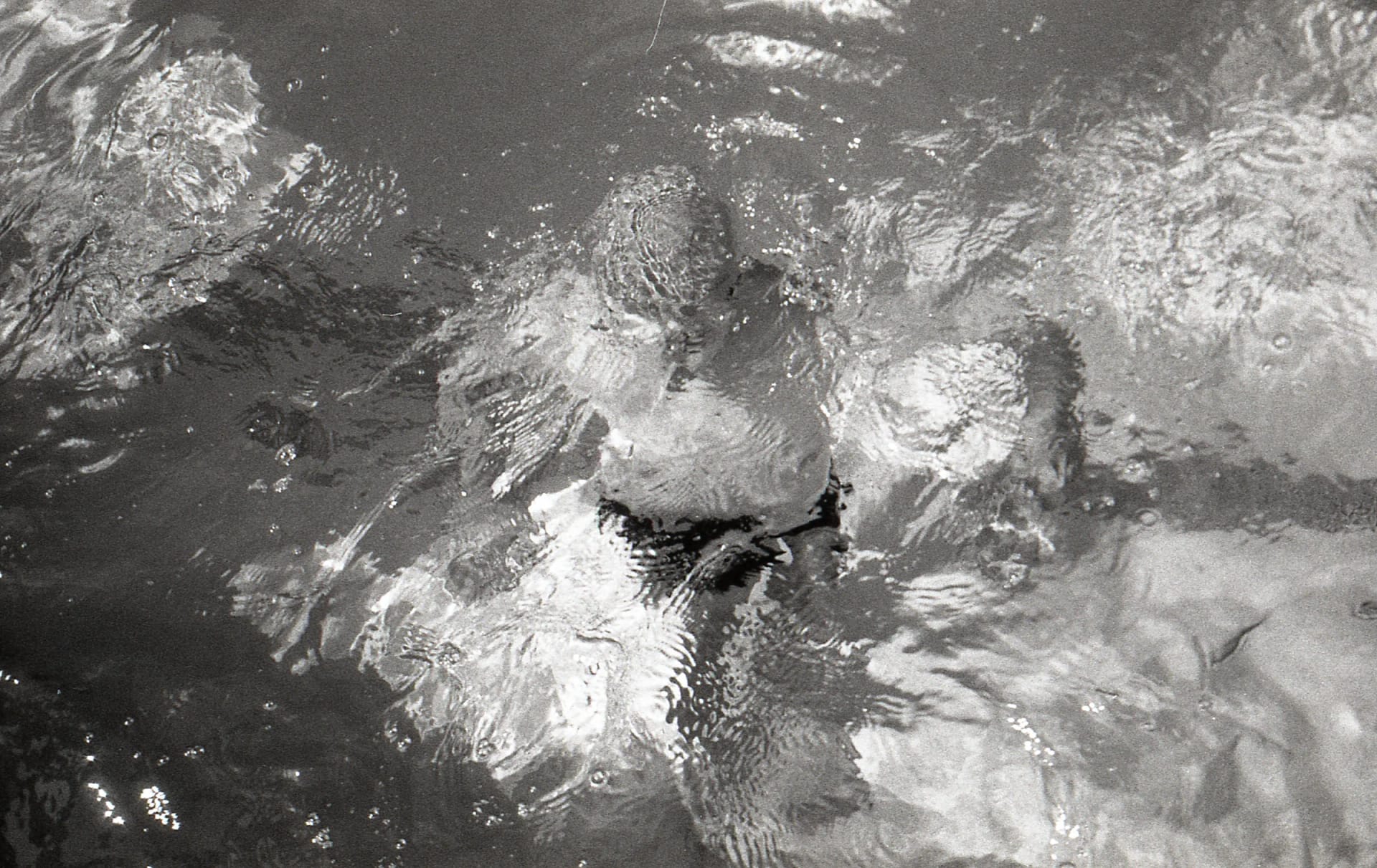 Archive _008, photographie 5 — Flavie Herbreteau