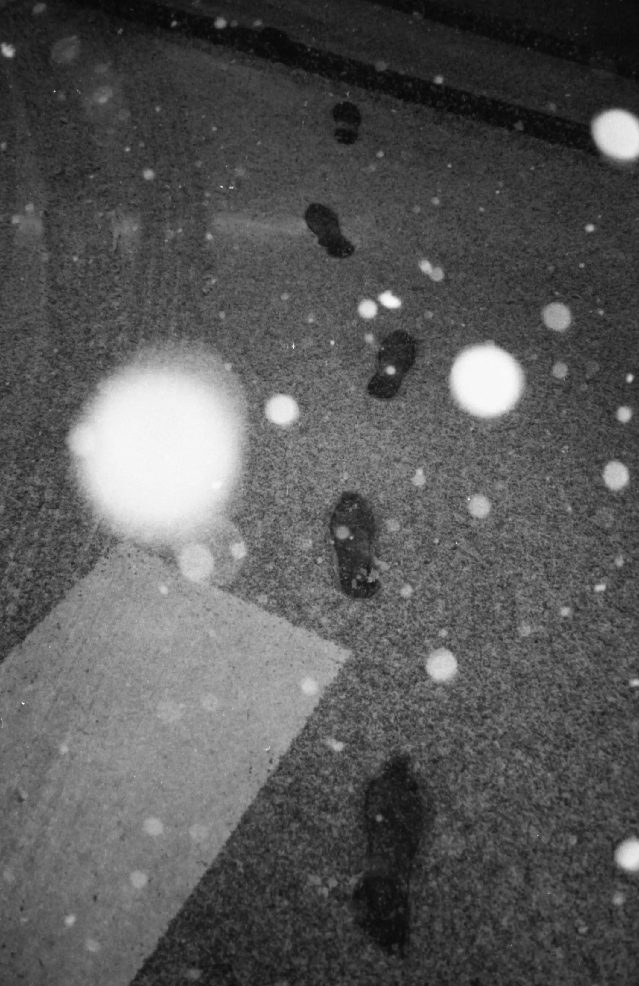 Archive _010, photographie 6 — Flavie Herbreteau