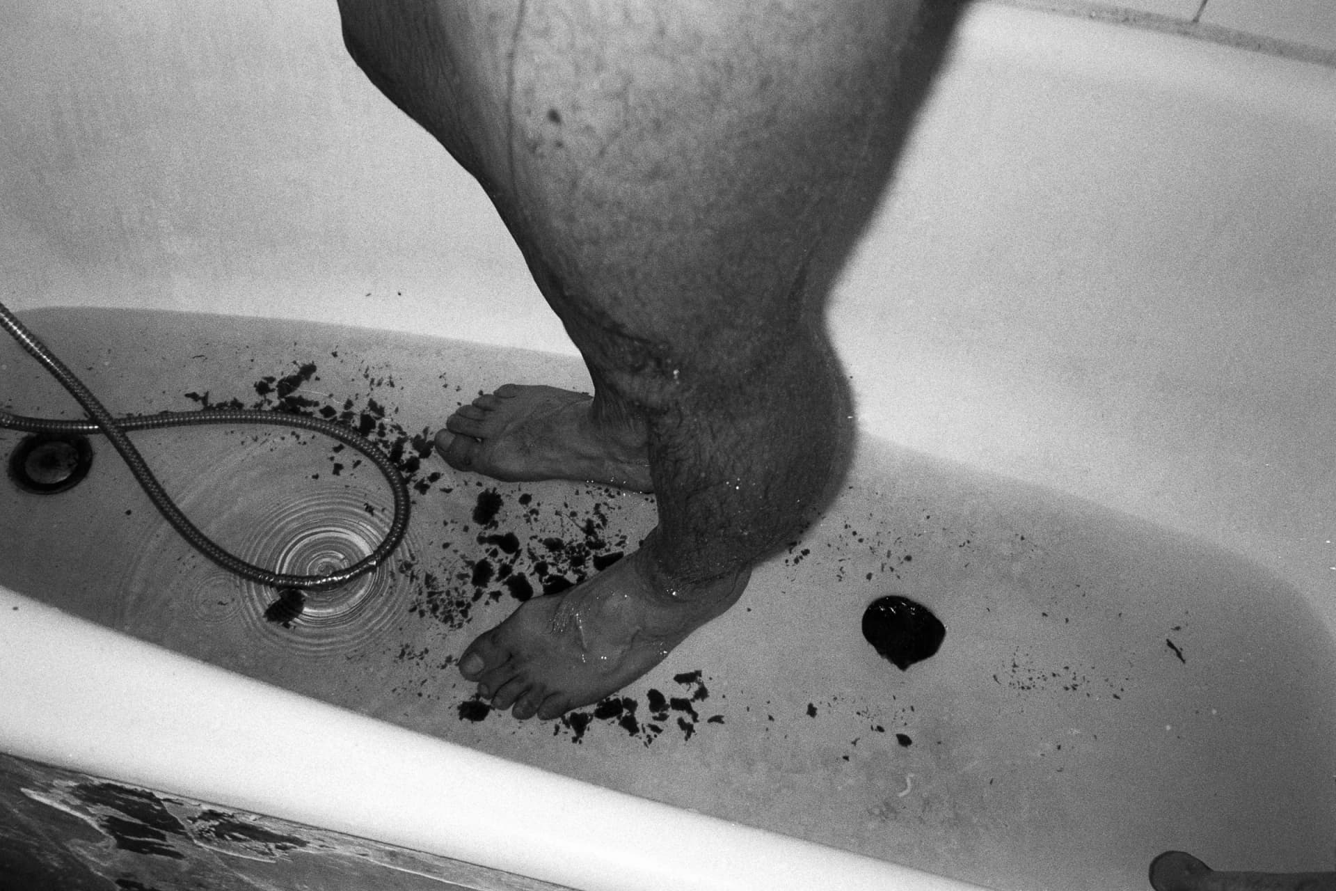 Pretend to be a dog - Stuffed Foxes, photographie 6